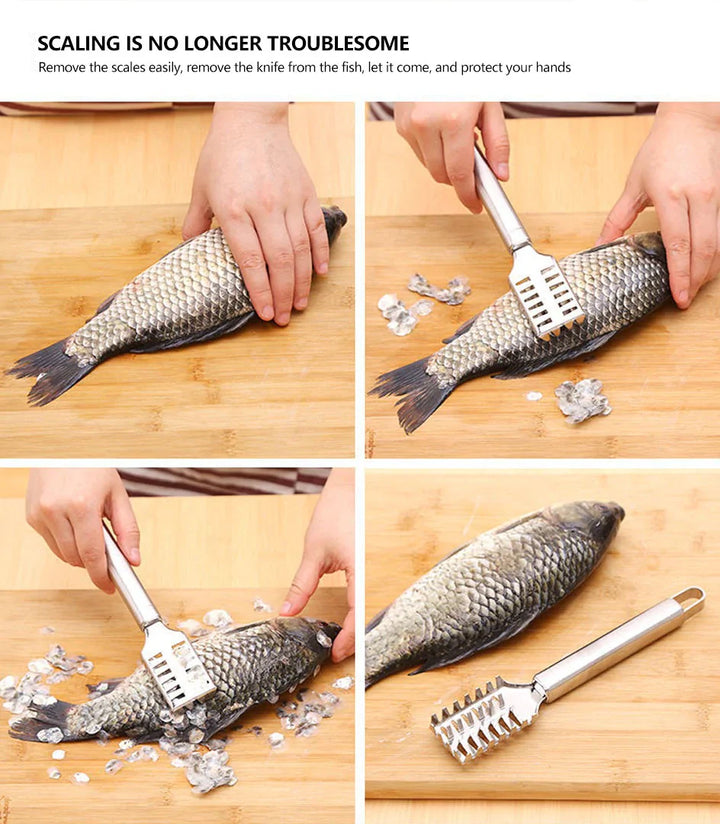 Fish Scale Remover Stainless Steel Stornfield