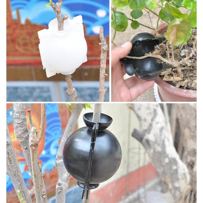 Air Layer Plant Propagation Capsule | Stornfield