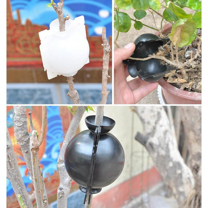 Air Layer Plant Propagation Capsule | Stornfield