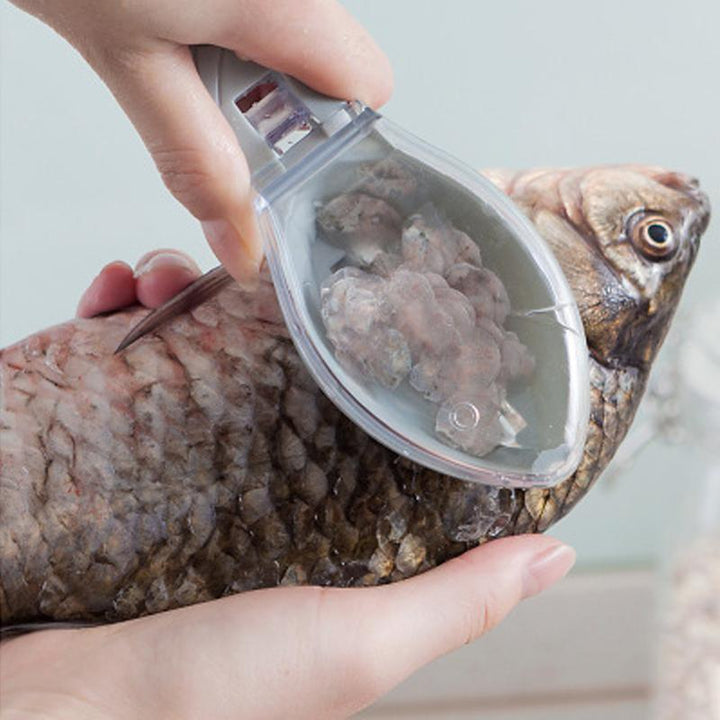 Fish skin scraping scale peeler | Stornfield