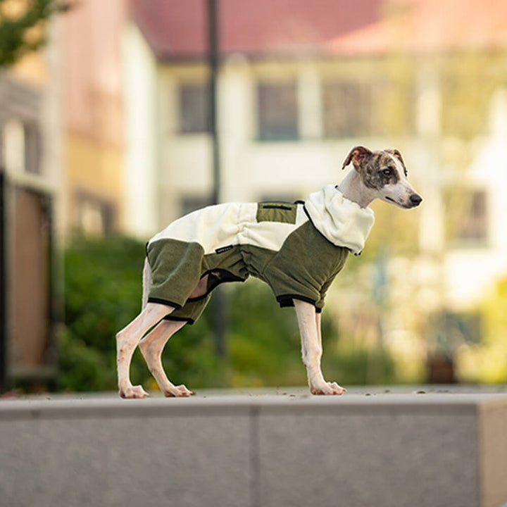 Stornfield | Full Protection Fleece Dog Bodysuit with Detachable Collar