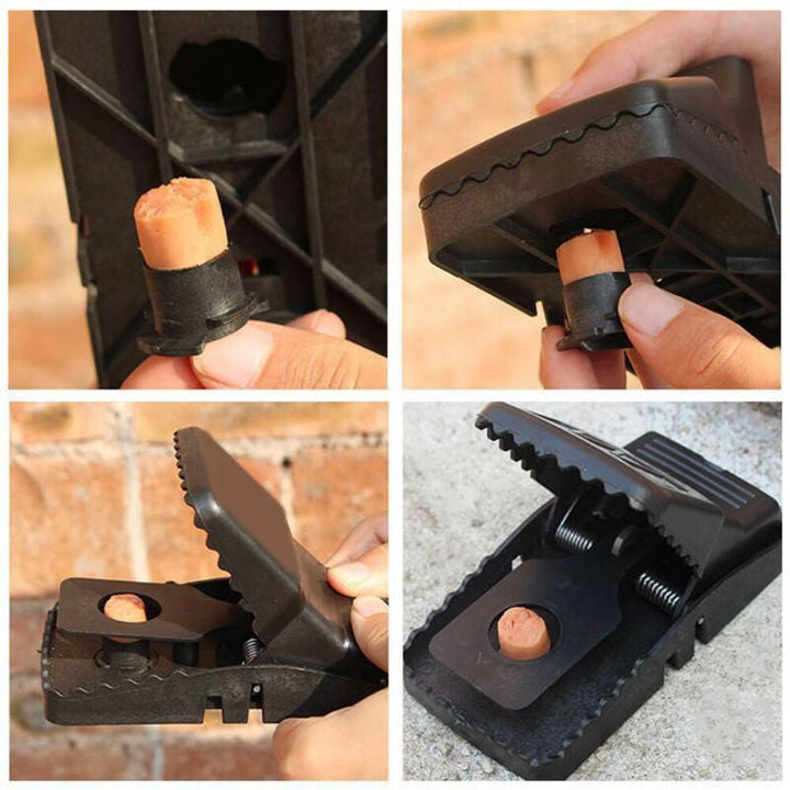 Reusable Traps Rat Catching | Stornfield