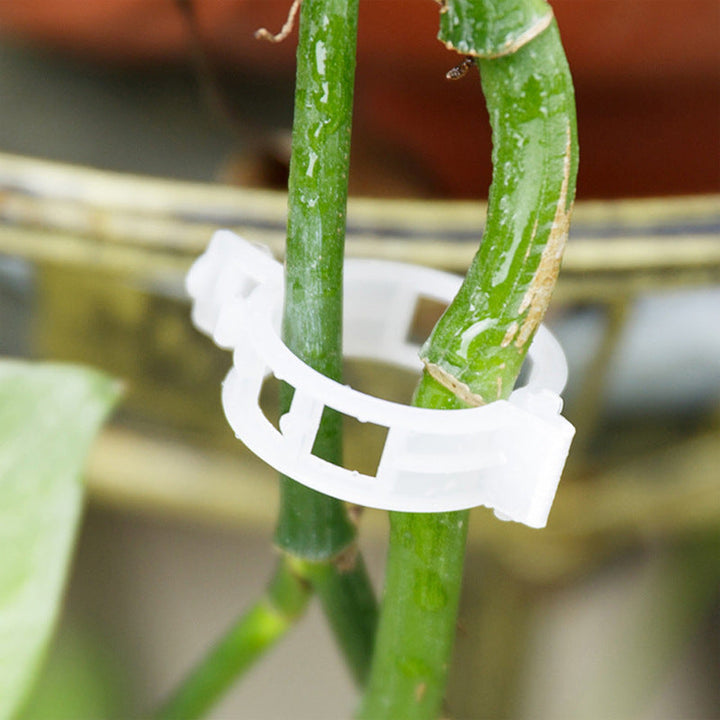 Practical Plant Support Clip | Stornfield