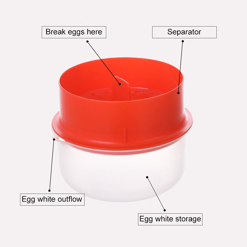 Egg White and Yolk Separator | Stornfield