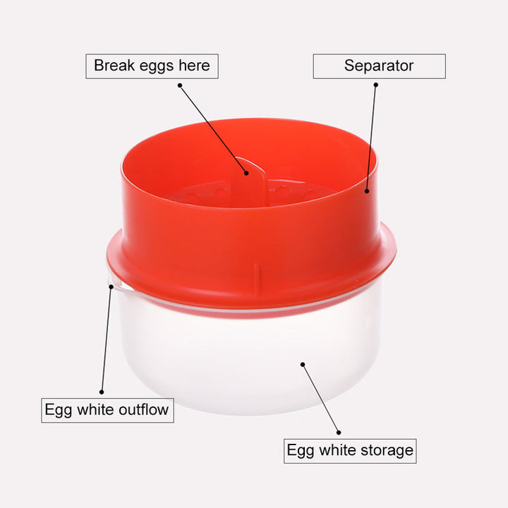Egg White and Yolk Separator | Stornfield