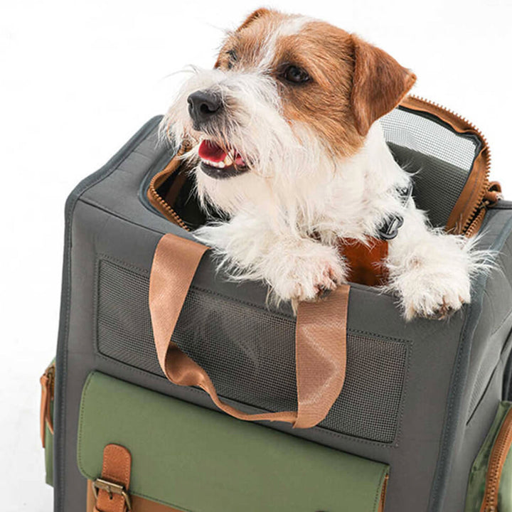 Waterproof Travel Pet Carrier – Breathable, Durable & Comfortable | Stornfield