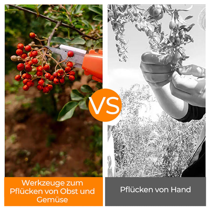 Efficient Pepper Picking Tools | Stornfield