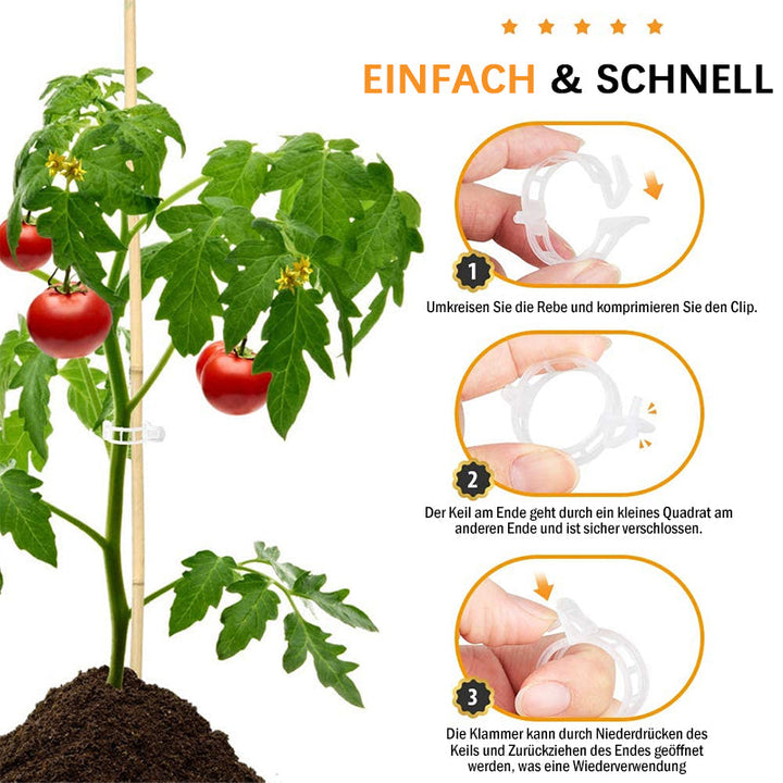 Plastic ring for holding plants | Stornfield