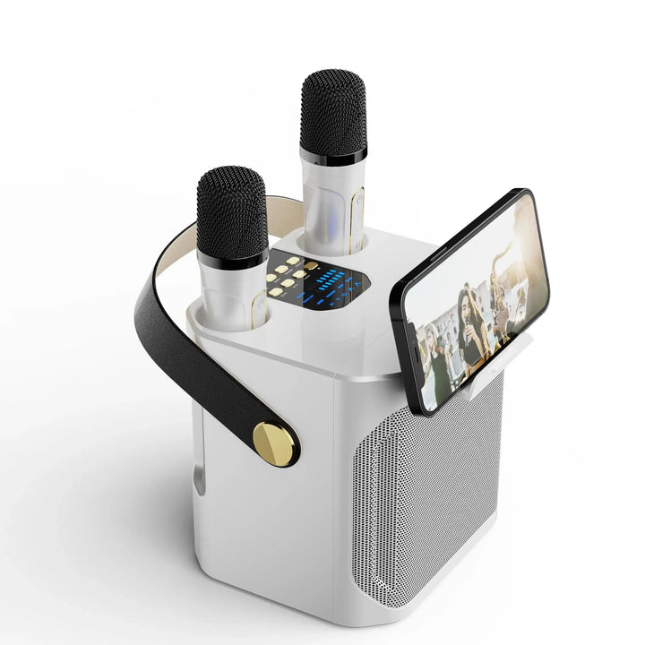 Stornfield | Karaoke Bluetooth Speaker – 360° Surround Wireless Subwoofer with Dual Mics
