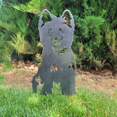 Cairn Terrier | Stornfield