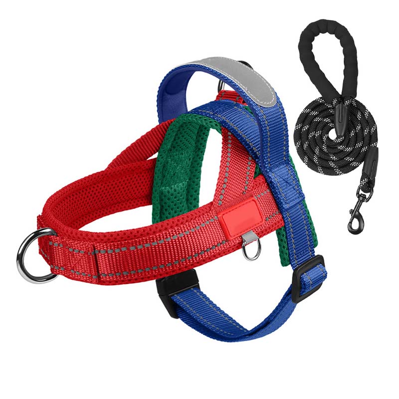 PawEase Comfort Harness — Relaxed Dressing and Unlimited Freedom for Your Dog | Stornfield