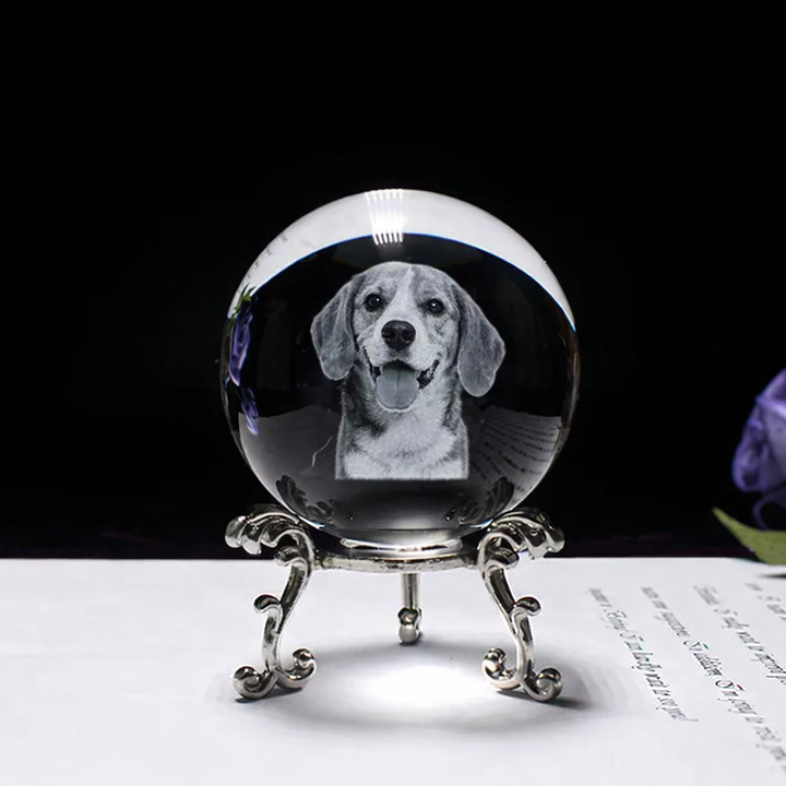 Personalized crystal ball with pet photo & LED base Stornfield