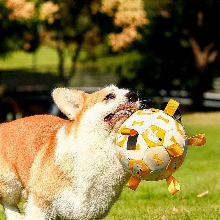 Interactive soccer toy for dogs | Stornfield