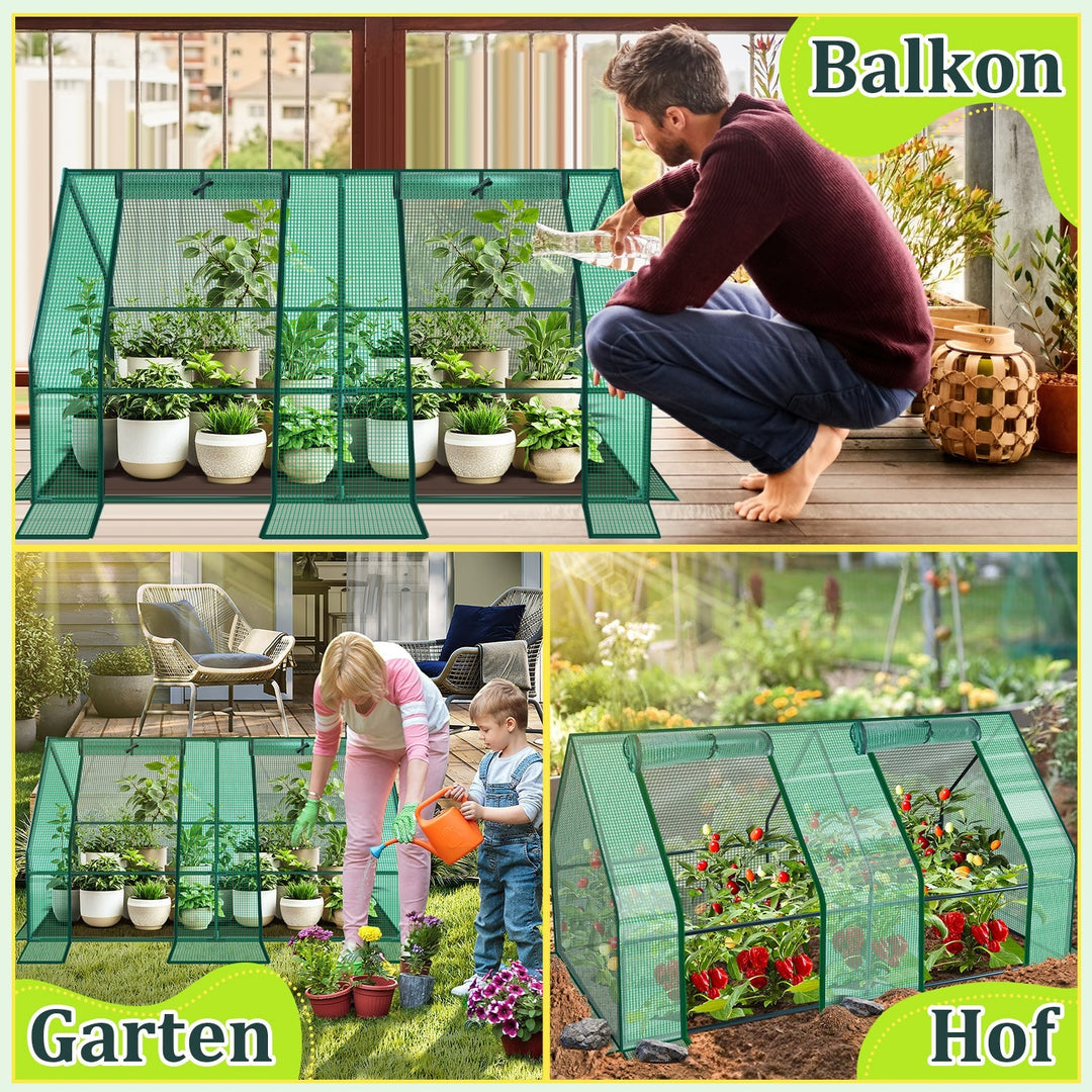 Greenhouse Tomato Greenhouse Hothouse | Stornfield
