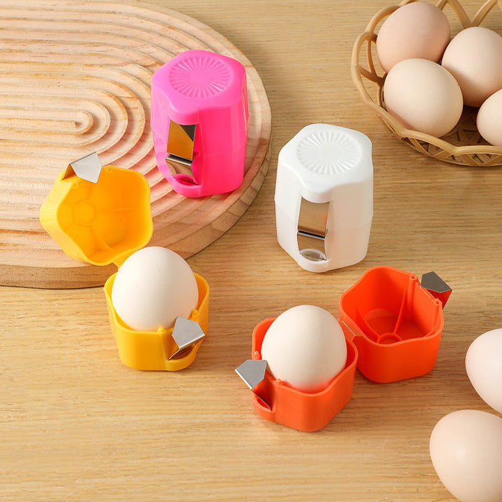 Multifunctional egg cooker with transparent lid | Stornfield