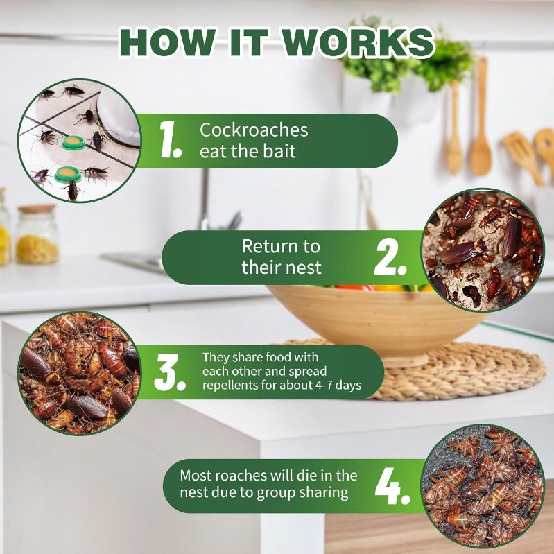 Stornfield | Child- & Pet-Safe Roach Bait Discs
