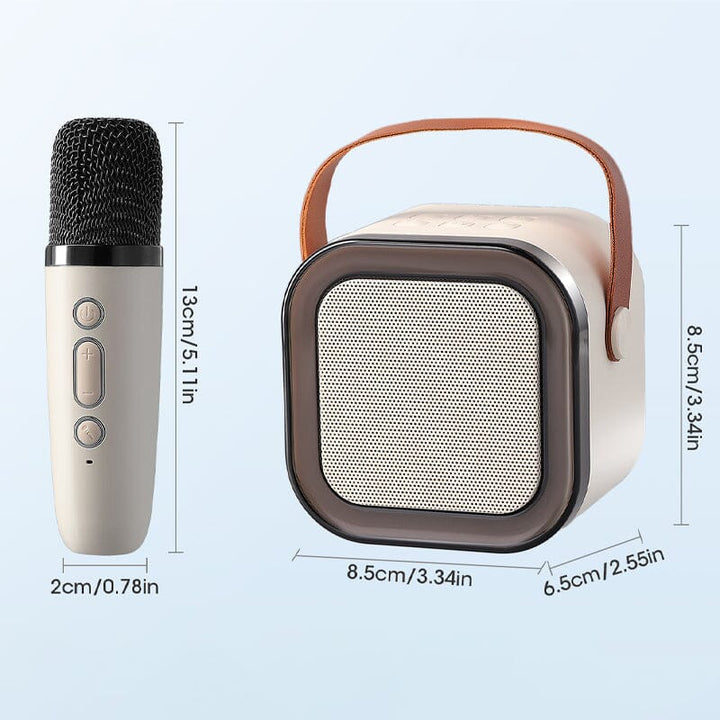 Mini Karaoke Machine with wireless microphones | Stornfield