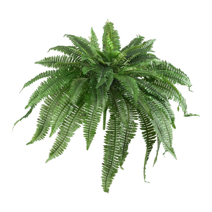 Stornfield | 48" Boston Fern (Set of 2)