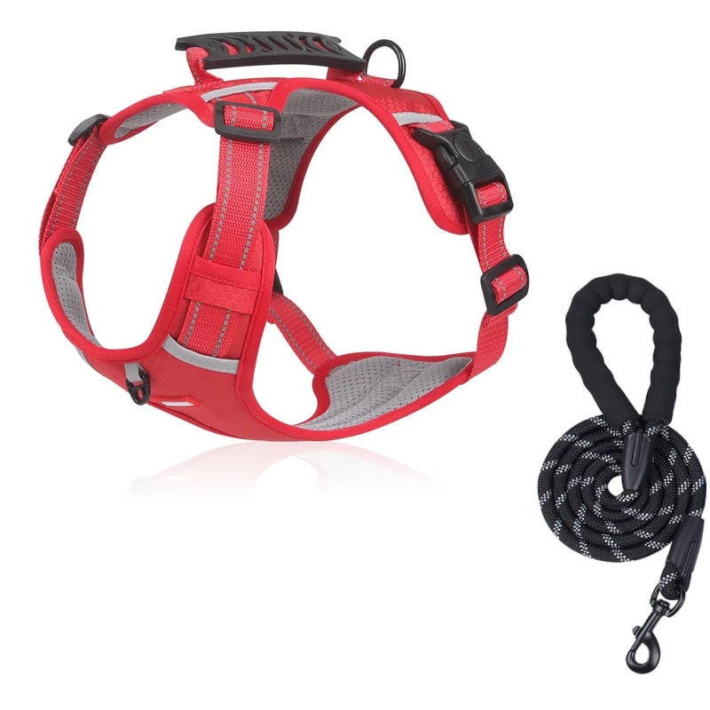 Stornfield | No-pull Dog Harness for Pets