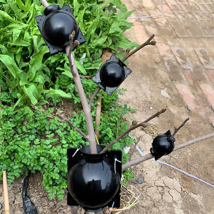 Air Layer Plant Propagation Capsule | Stornfield