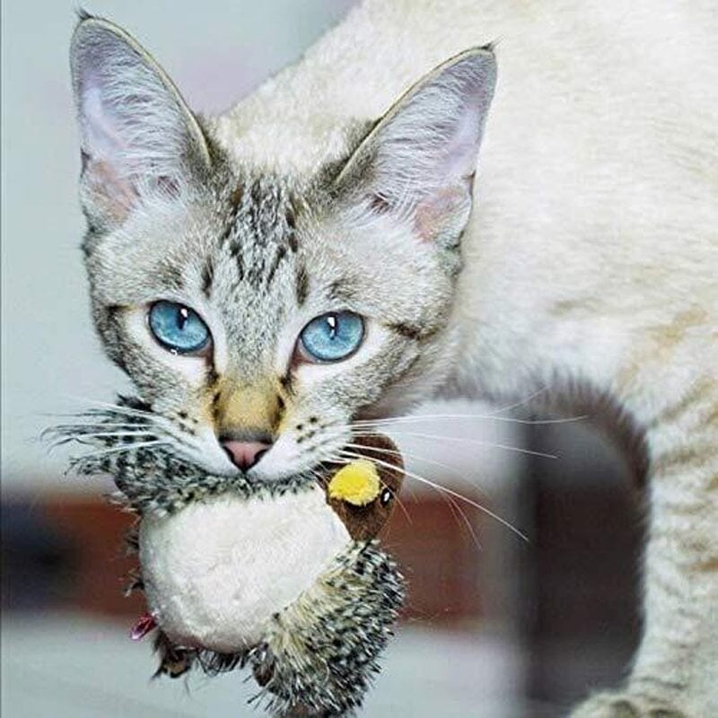 Cat Toy - Stornfield Simulated Chirping Bird