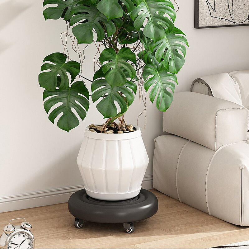 360 Rotating Wheeled Rolling Stool | Stonrfield
