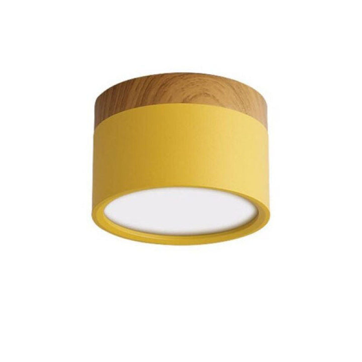 Morandi Style Modern LED Ceiling Lamp - LumiModo | Stornfield