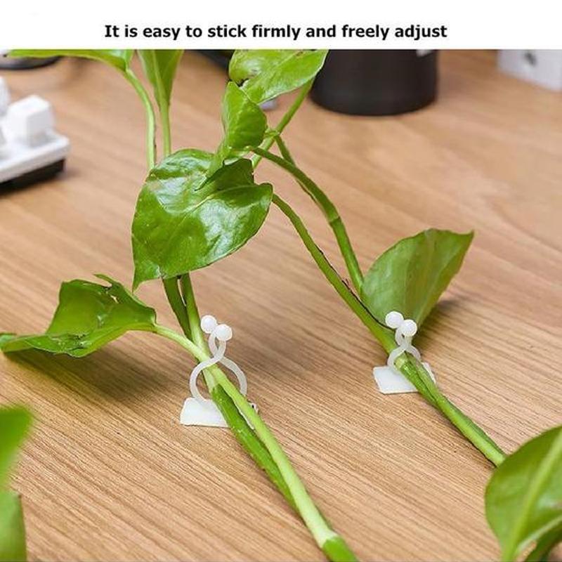 Wall Clips for Climbing Plants (30 pieces) | Stornfield