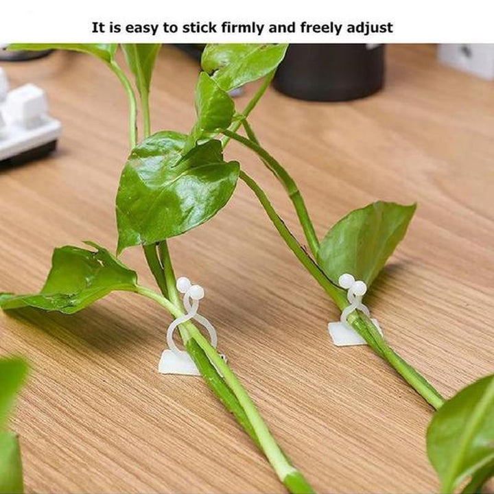 Wall Clips for Climbing Plants (30 pieces) | Stornfield