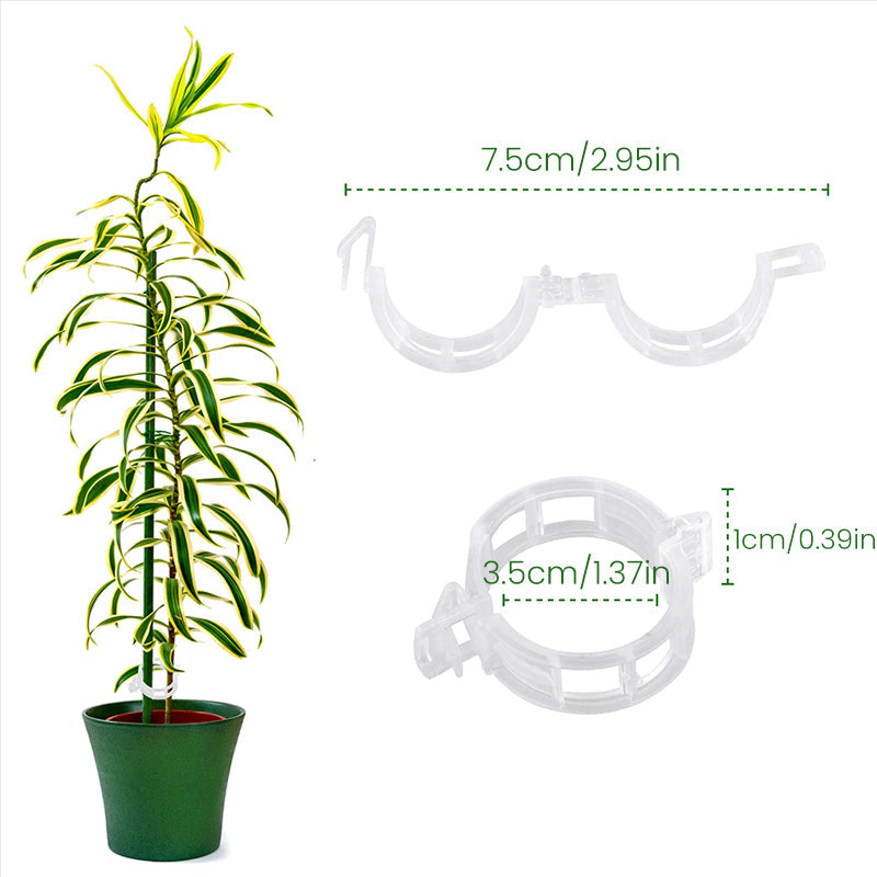 Plastic ring for holding plants | Stornfield