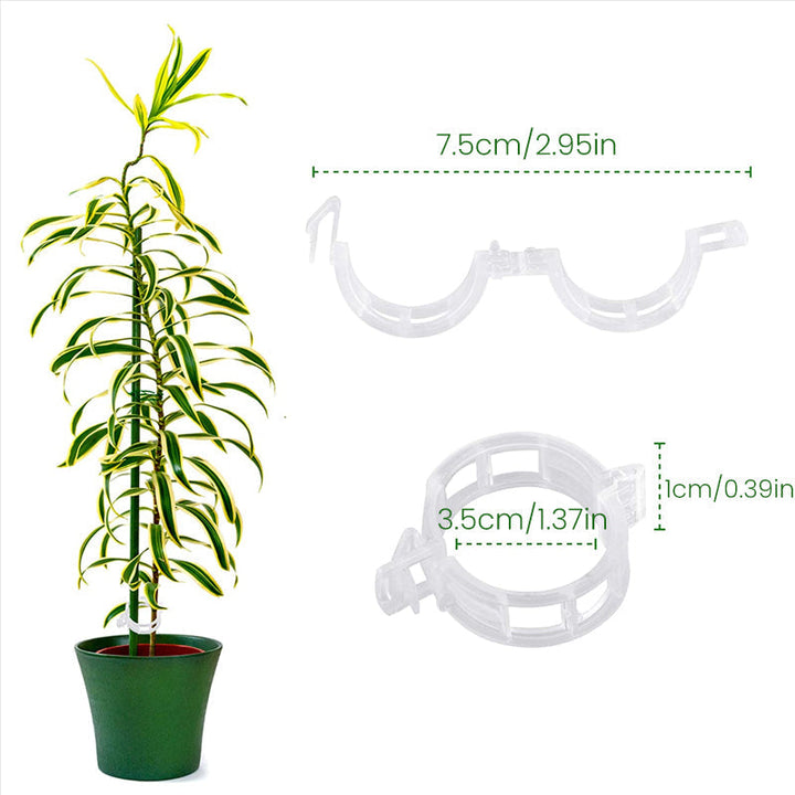 Plastic ring for holding plants | Stornfield