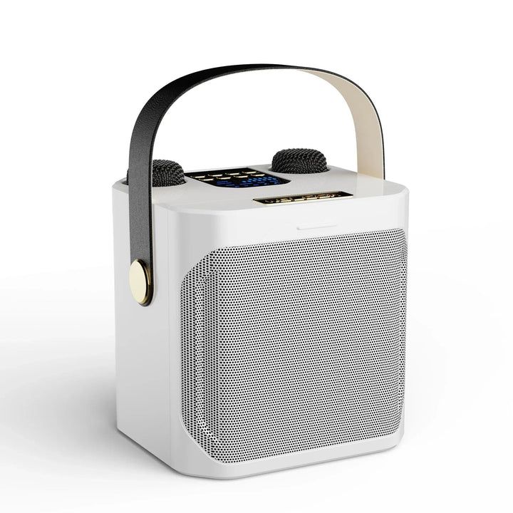 Stornfield | Karaoke Bluetooth Speaker – 360° Surround Wireless Subwoofer with Dual Mics