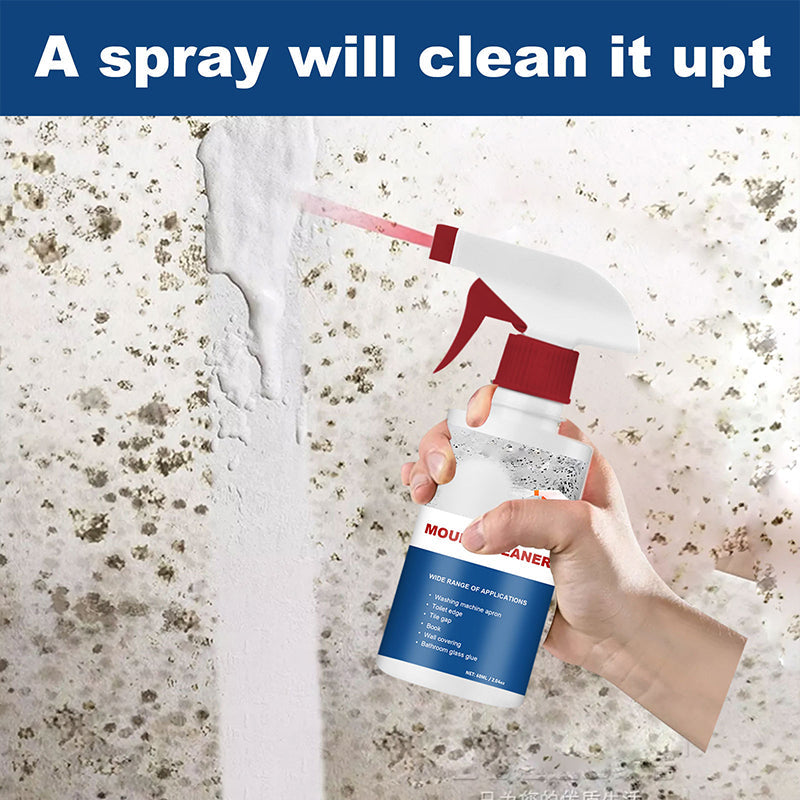 Stornfield | Mold Cleaner Foam Mold Deodorizer Fast-Acting Decontamination Spray