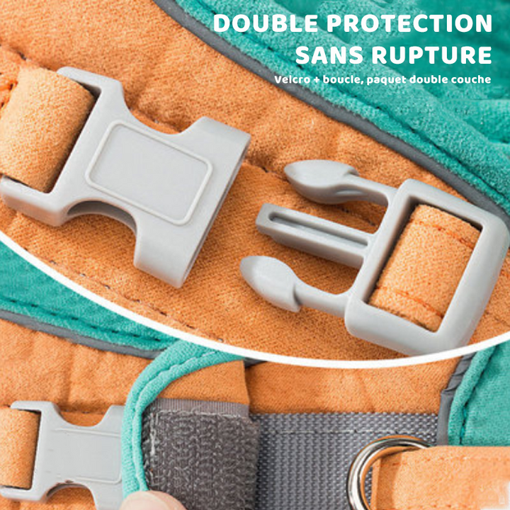 Harness and Leash Set for Cat | Stornfield