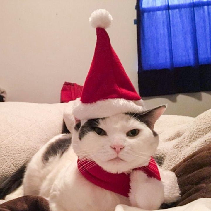 Christmas Decoration Santa Hat with Scarf | Stornfield