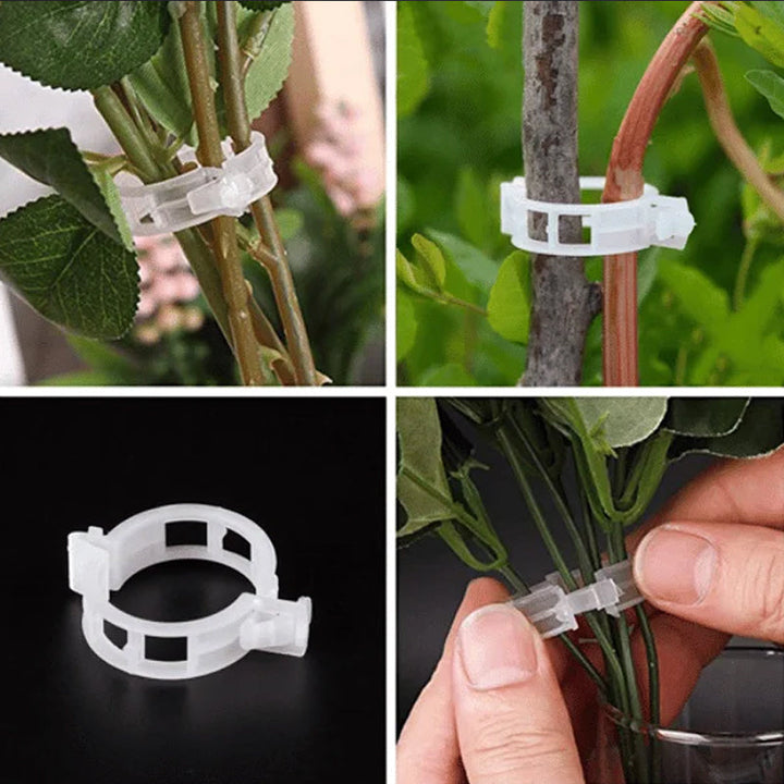 Plant support clips | Stornfield
