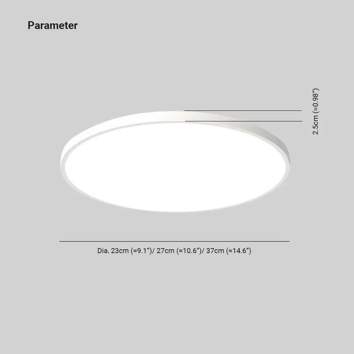 Stylish LED Ceiling Lamp - OrbGlow | Stornfield