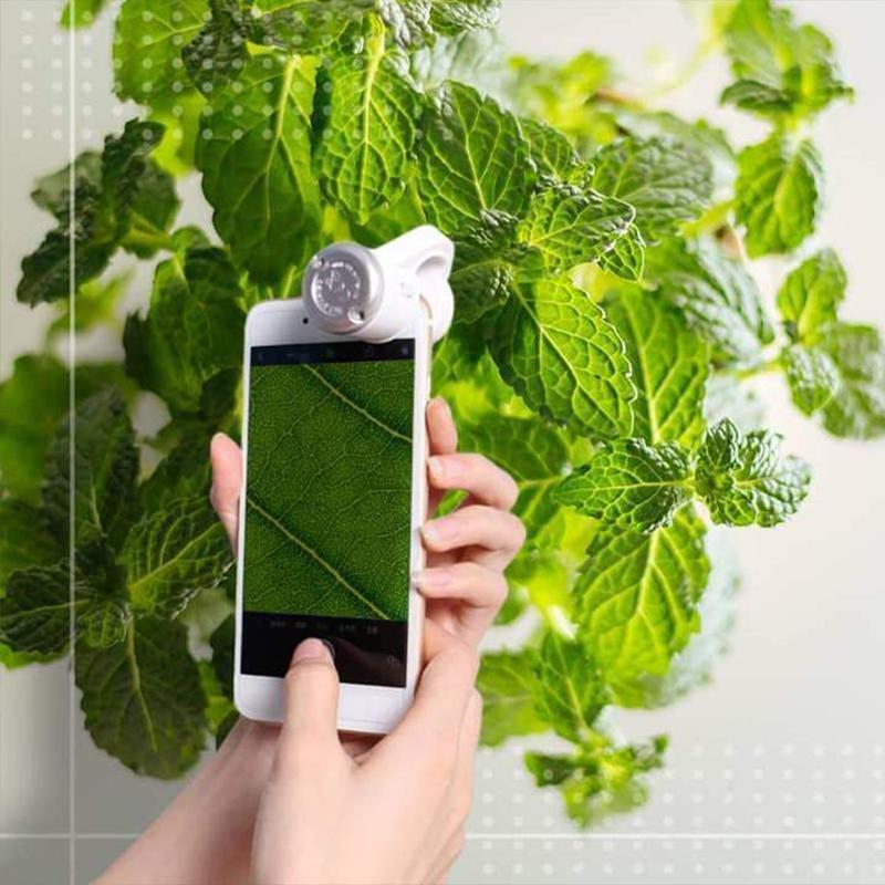 LED Portable Phone Microscope | Stornfield