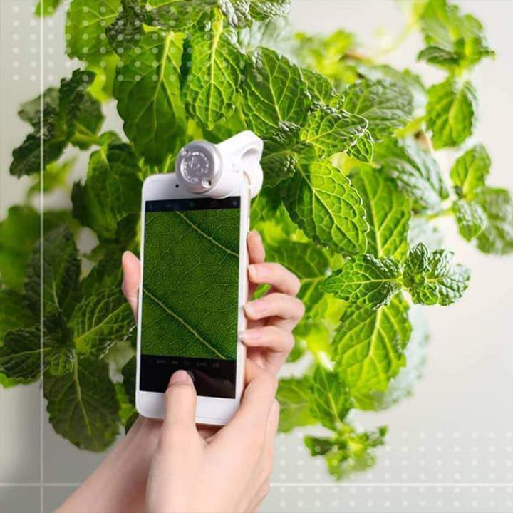 LED Portable Phone Microscope | Stornfield