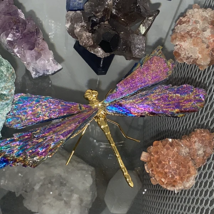 Stornfield | Aurora Dragonfly Charm