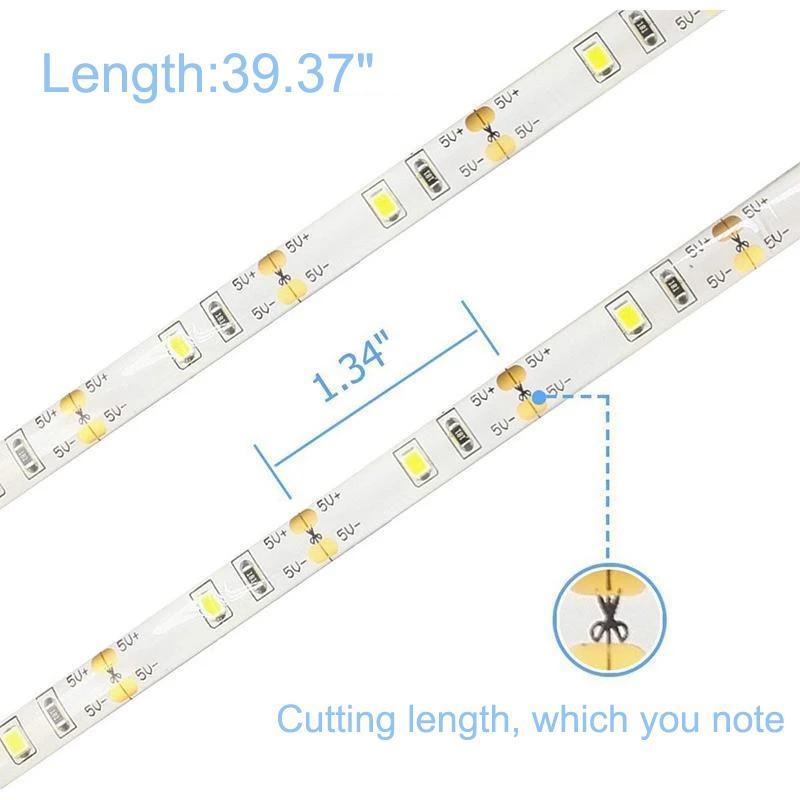 LED motion detector waterproof light belt | Stornfield