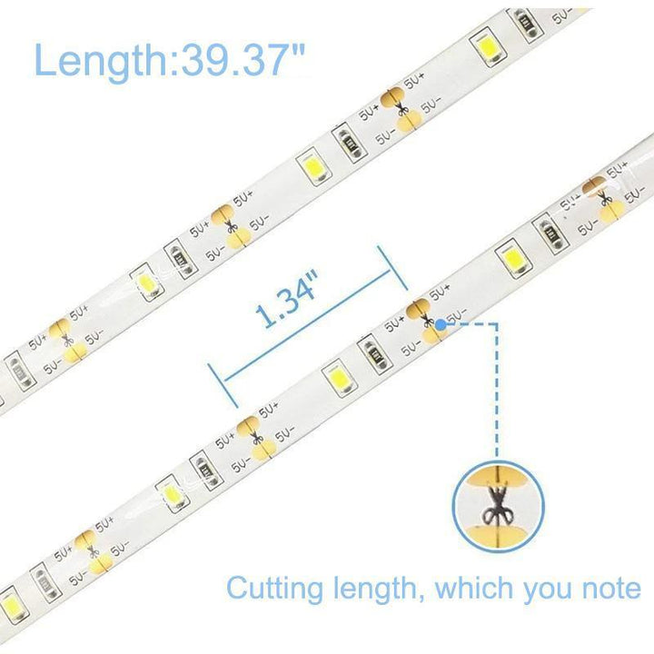 LED motion detector waterproof light belt | Stornfield