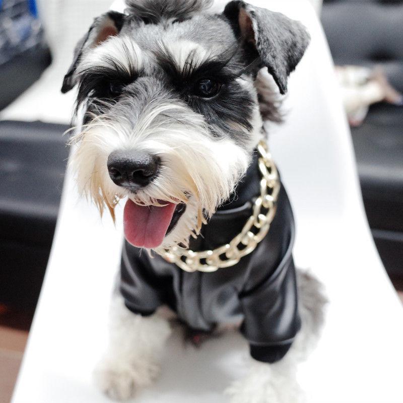 Stornfield | Pet Jewelry Thick Gold Chain Collar