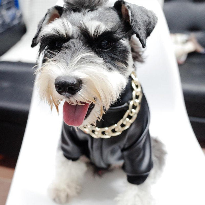 Stornfield | Pet Jewelry Thick Gold Chain Collar