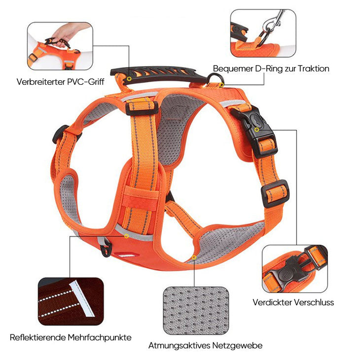 Reflective Dog Harness | Stornfield