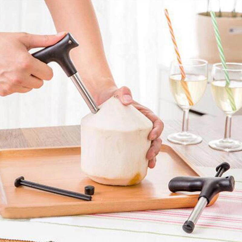 Coconut opening tool in Stainless Steel | Stornfield