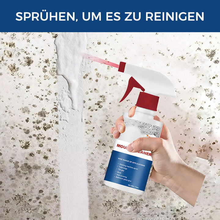 Anti-Mold Cleaning Foam | Stornfield