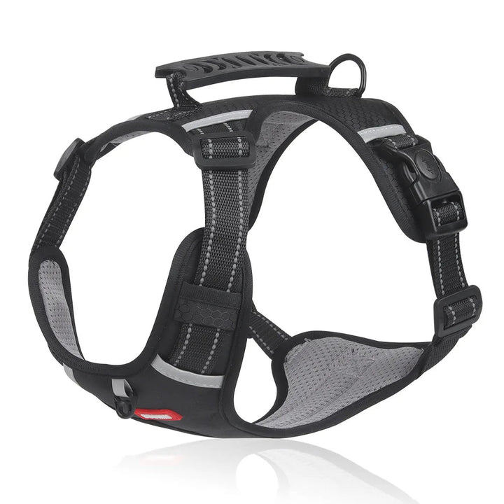 DogGrip Walk Safely with Your Dog | Stornfield