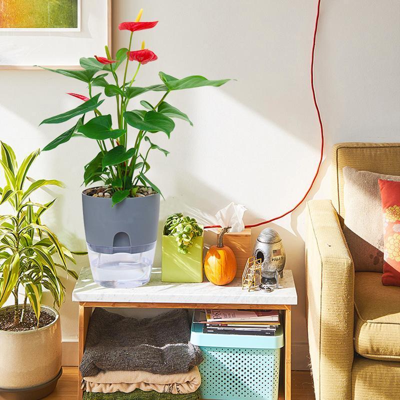 Stornfield | Self-Watering Hydro Planter