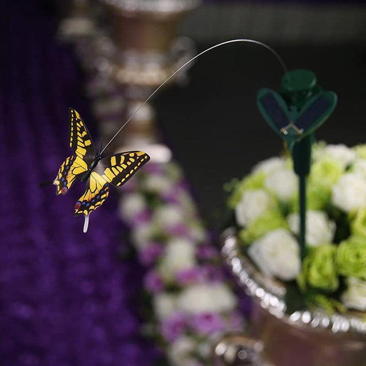 Stornfield | Solar-Powered Dancing Hummingbird and Butterfly